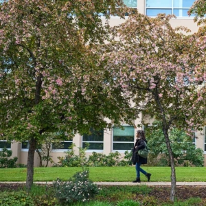 Southern Oregon University Youth Programs Meet Our Team Learn More