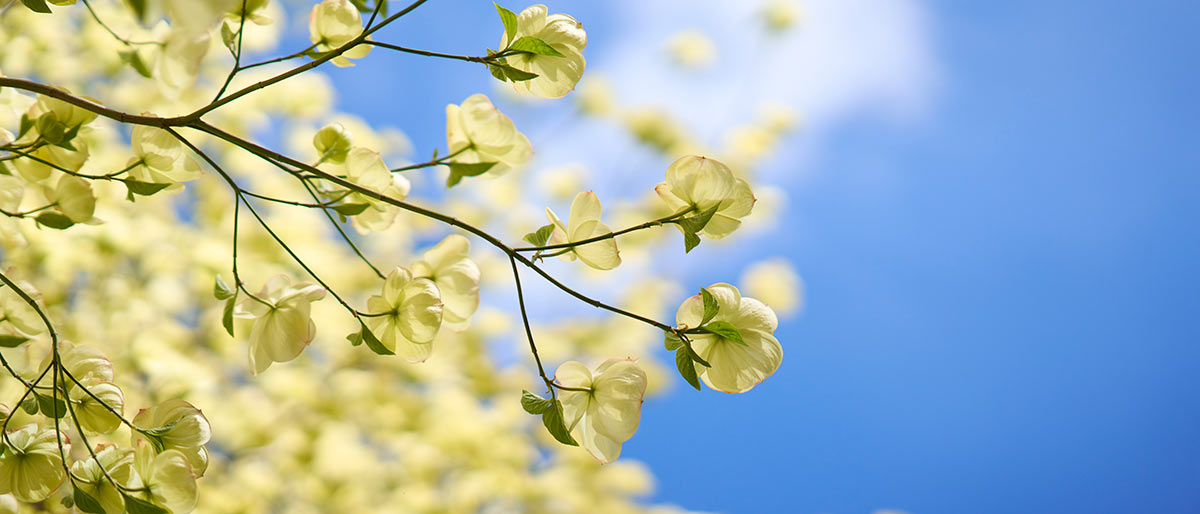 Youth Blog Test Image 2